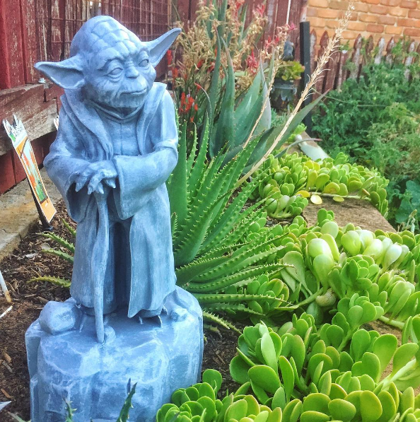 Like it, this garden gnome, I do.