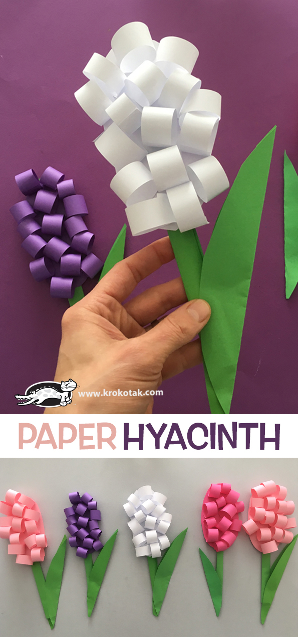 krokotak Paper hyacinth