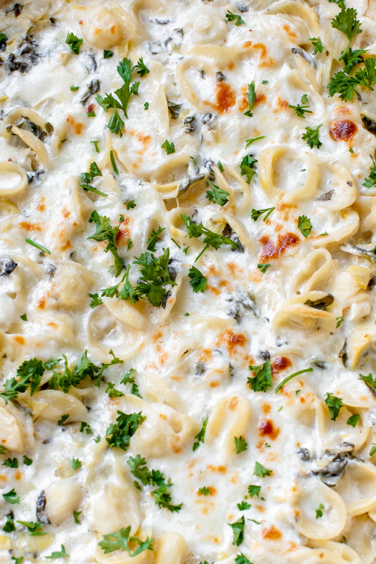 Creamy Spinach Artichoke Pasta • Kroll's Korner