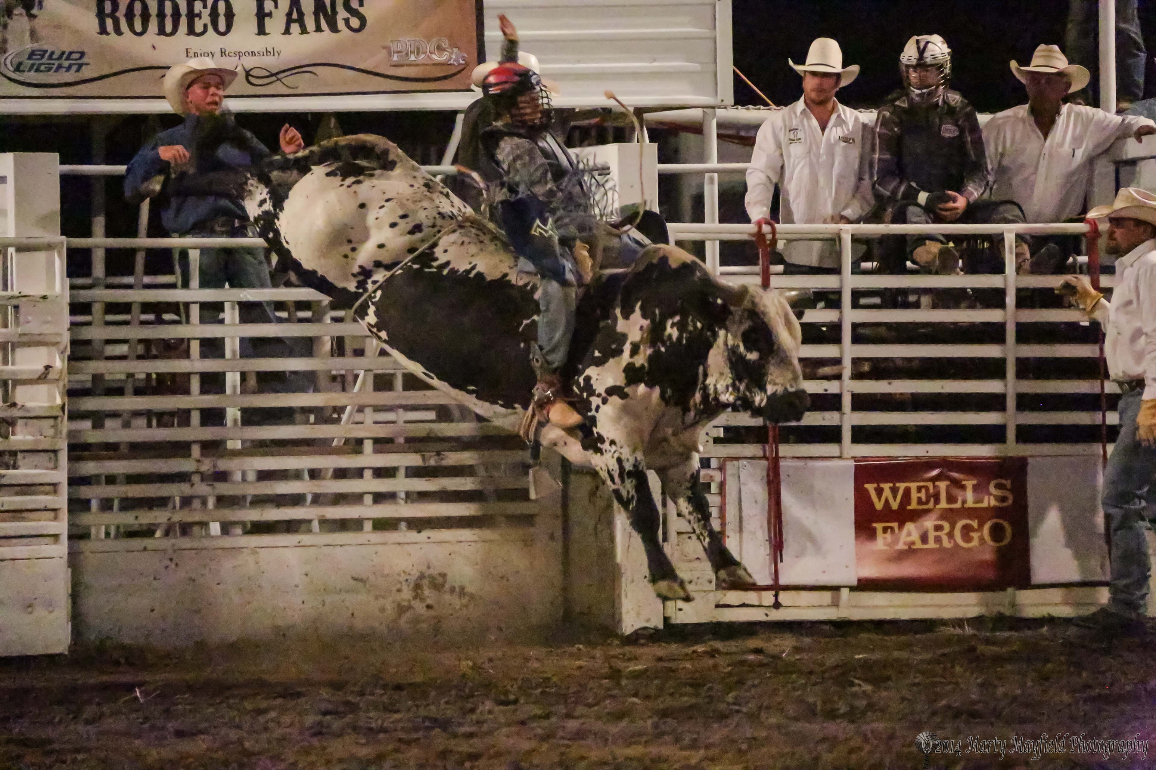 Raton Horse Racing at Terence Sauers blog