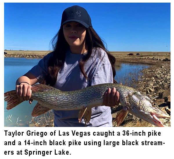 New Mexico fishing and stocking reports for April 13, 2021 KRTN