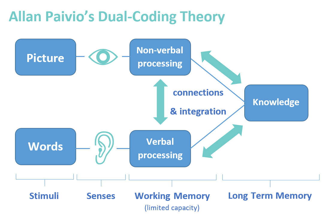 จำมากกว่าทางเดียวได้ผลดีกว่า (Dual Coding theory) KruMon English
