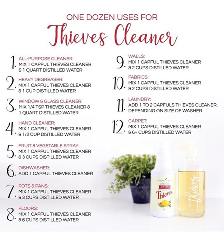 4 Thieves Cleaner Recipe Bryont Blog