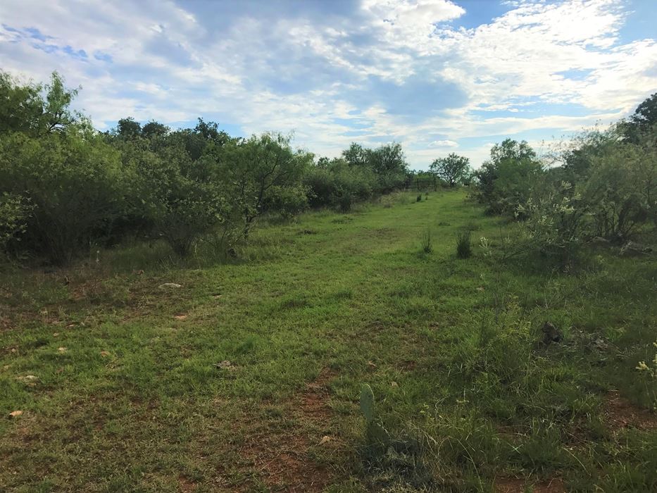 Small Acreage Mason Texas Kruse Ranches & Homes