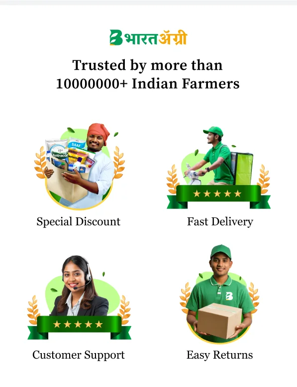 Buy Keefun Insecticide Online at Discounted Price EMI Available