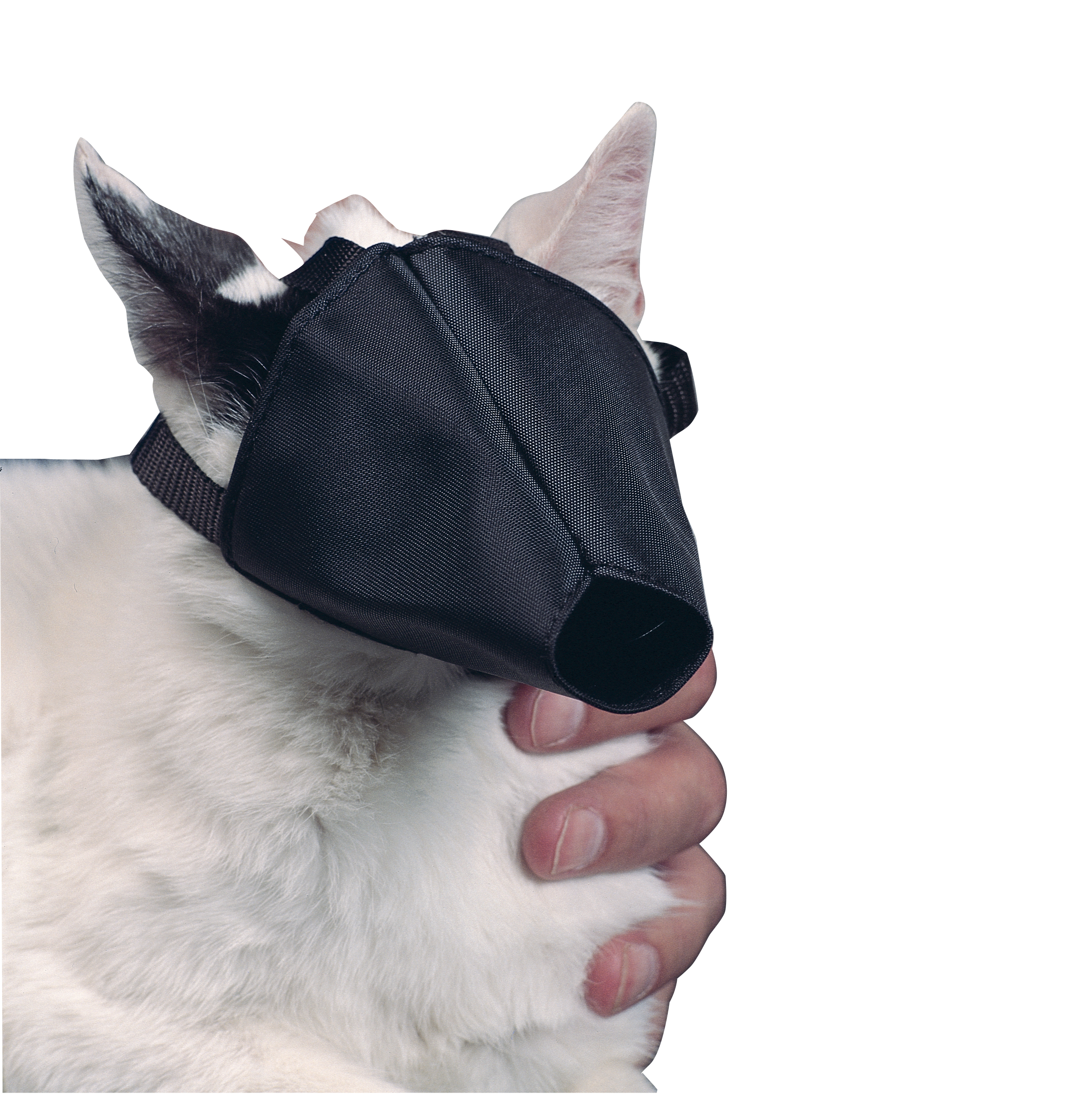 BUSTER nylon muzzle for cat unisize