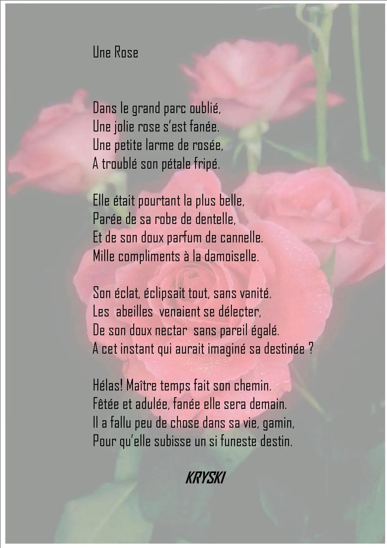 Une Rose