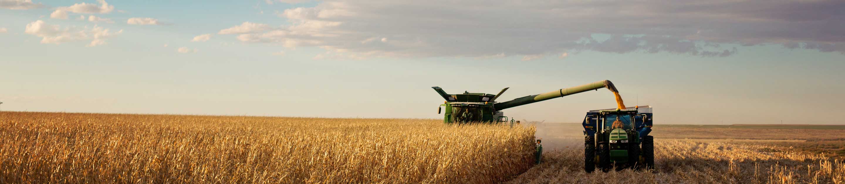 Kansas Corn Growers Association Kansas Corn