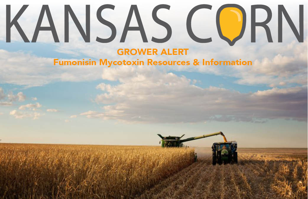 Fumonisin Information Available at KS Corn