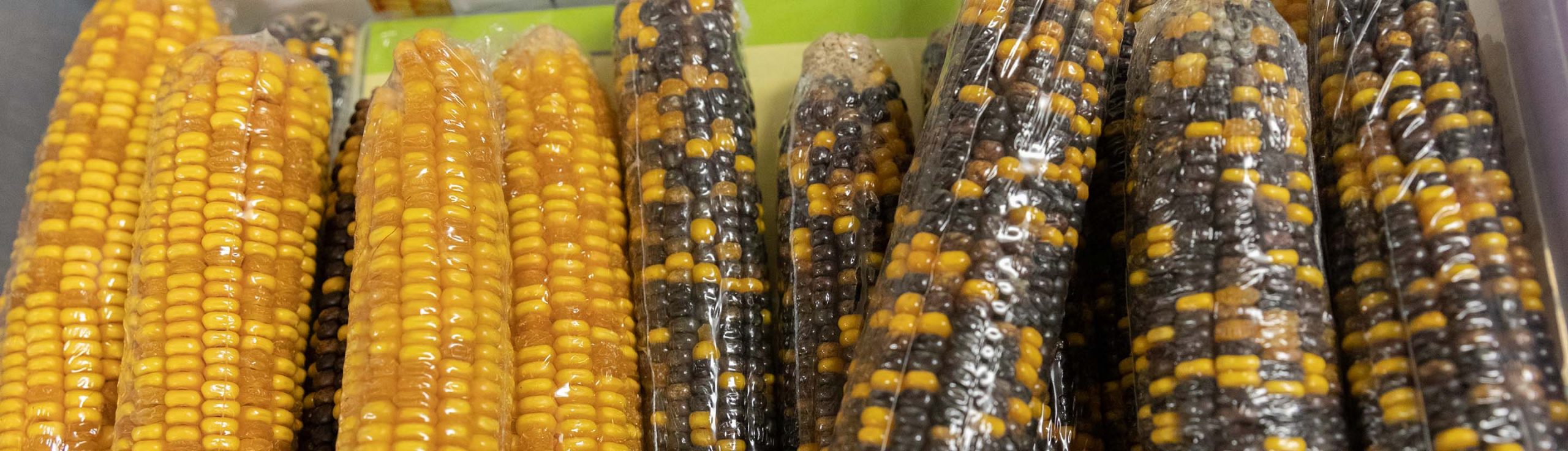 Corn and Statistical Analysis KS Corn