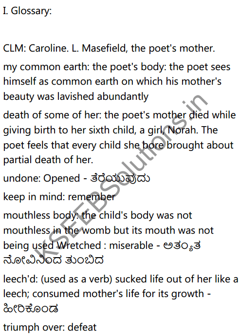 mother to son poem summary