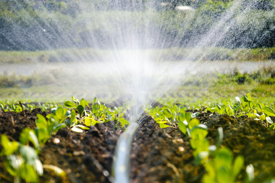 a Pro All you need to know about Drip Irrigation