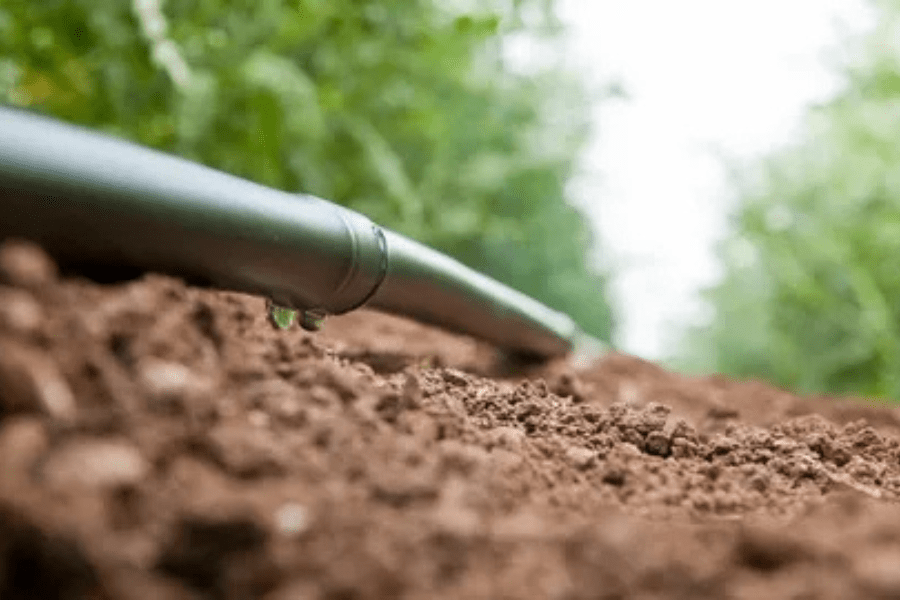 What is the Best Irrigation System for Large Farms?