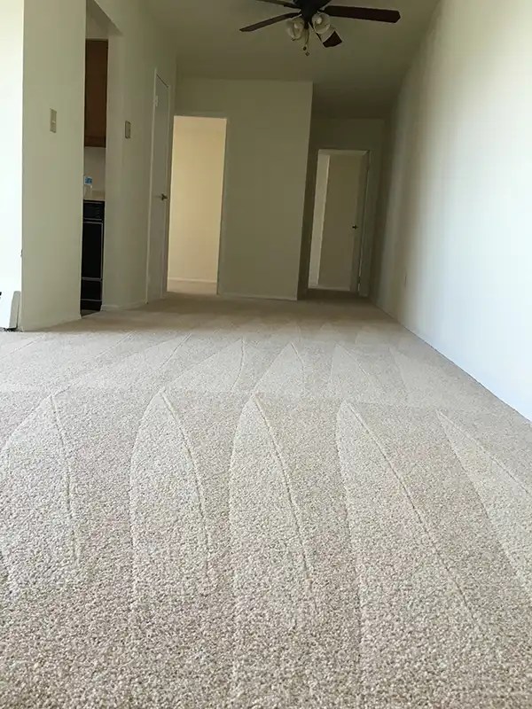 Carpet and Upholstery Cleaning Before & After Photos Whitehall PA