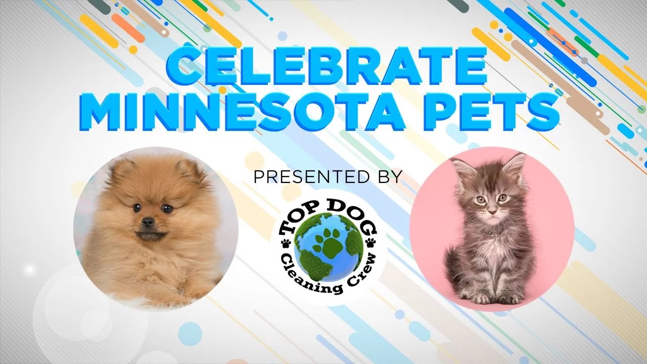 Celebrate Minnesota Pets 5 Eyewitness News
