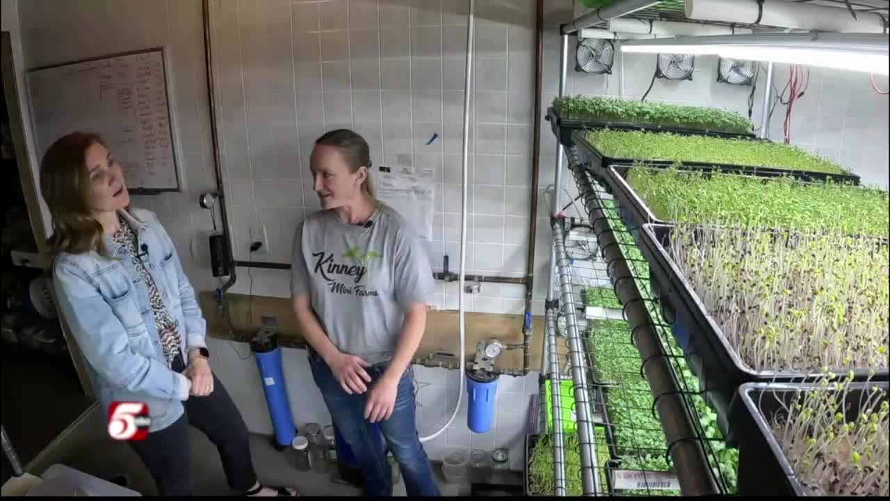 Kinney Mini Farms 5 Eyewitness News