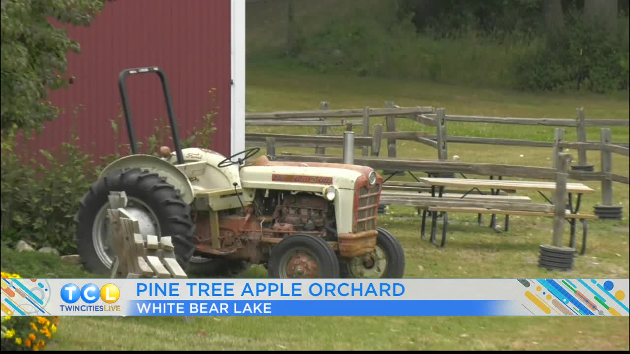 Pine Tree Apple Orchard 5 Eyewitness News