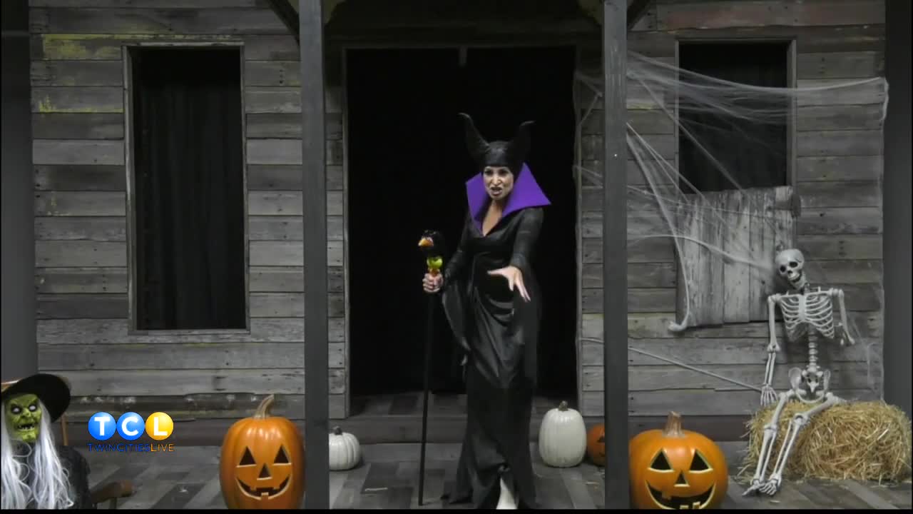 Largest Online Halloween Costume Retailer 5 Eyewitness News