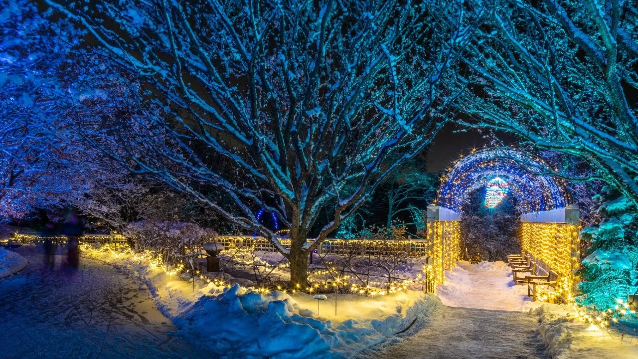 Winter Lights event kicks off Thursday night at Minnesota Landscape