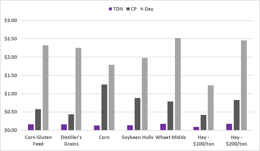 Limit Feeding Cows in Drylots