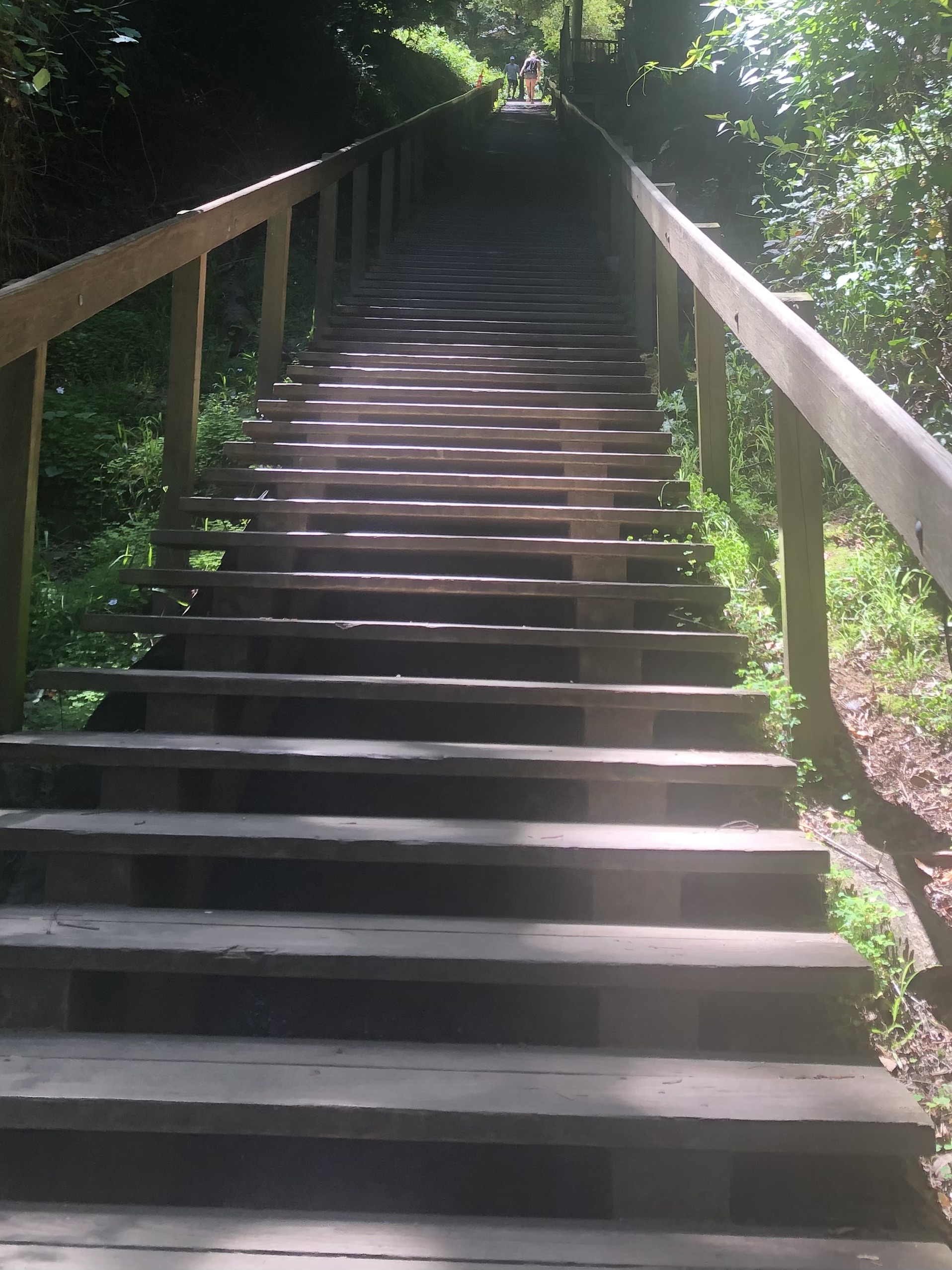 Dipsea Race 2022 Send It Running