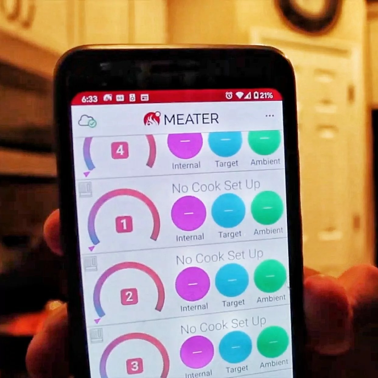 5 Best Wifi Meat Thermometer Reviews [Top Meat Probes For 2020]