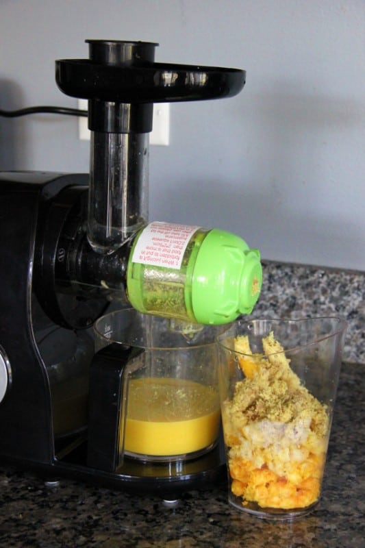 Aicok Slow Masticating Juicer Review - Ktchn Essentials