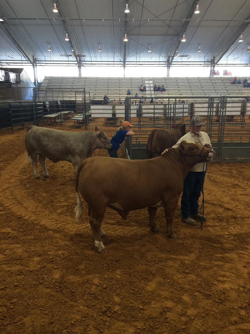 Brazos County Youth Livestock Show3/25/2015 KTEX 106.1