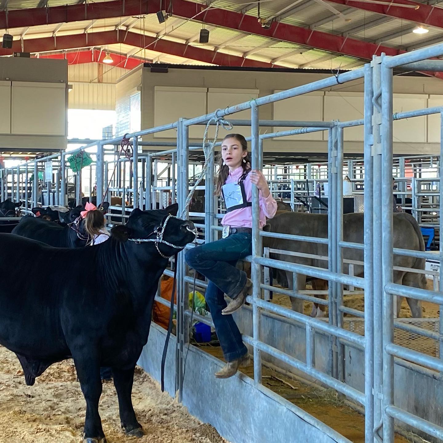 Lee County Jr. Livestock Show! KTEX 106.1