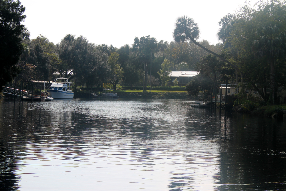 On the Road to Yankeetown