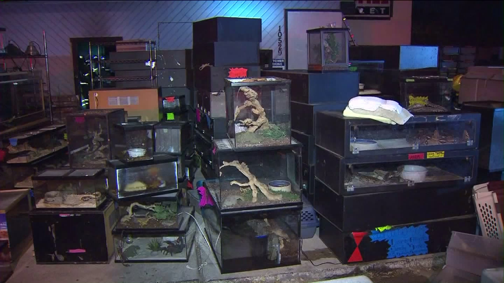 At Least 700 Reptiles Displaced by 2Alarm Fire at Stanton Pet Store