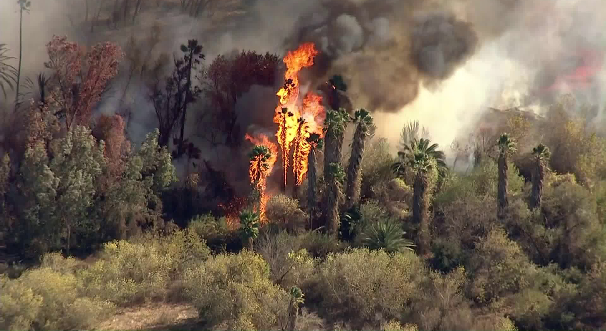 Brush Fire Near Downtown Riverside Burns 50 Acres; All Evacuations
