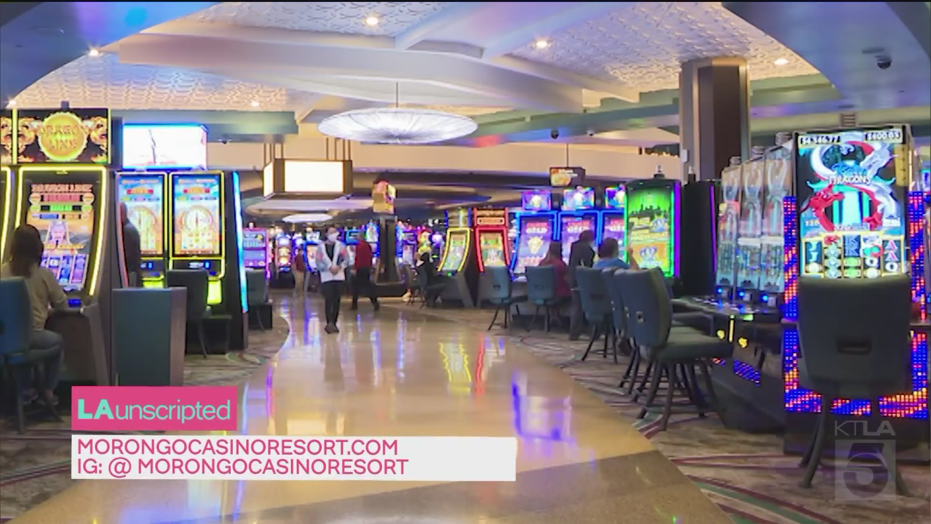 Are Dogs Allowed At Morongo Casino