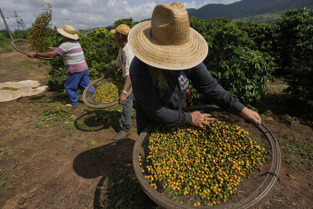 President ﻿Trump’s tariff threats may increase costs on espresso, orange juice, and extra
