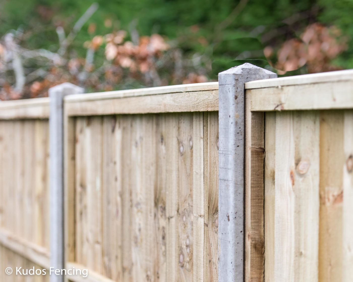 Featheredge Panel Fencing, Concrete Posts Kudos Fencing Ltd