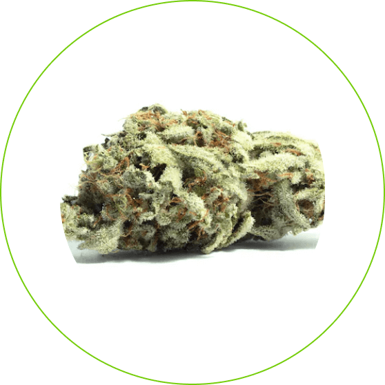 Strains Kudzu Cannabis Company