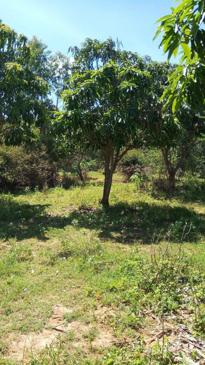 Kulta Properties 10 Acres land for Sale in Embu Siakago.