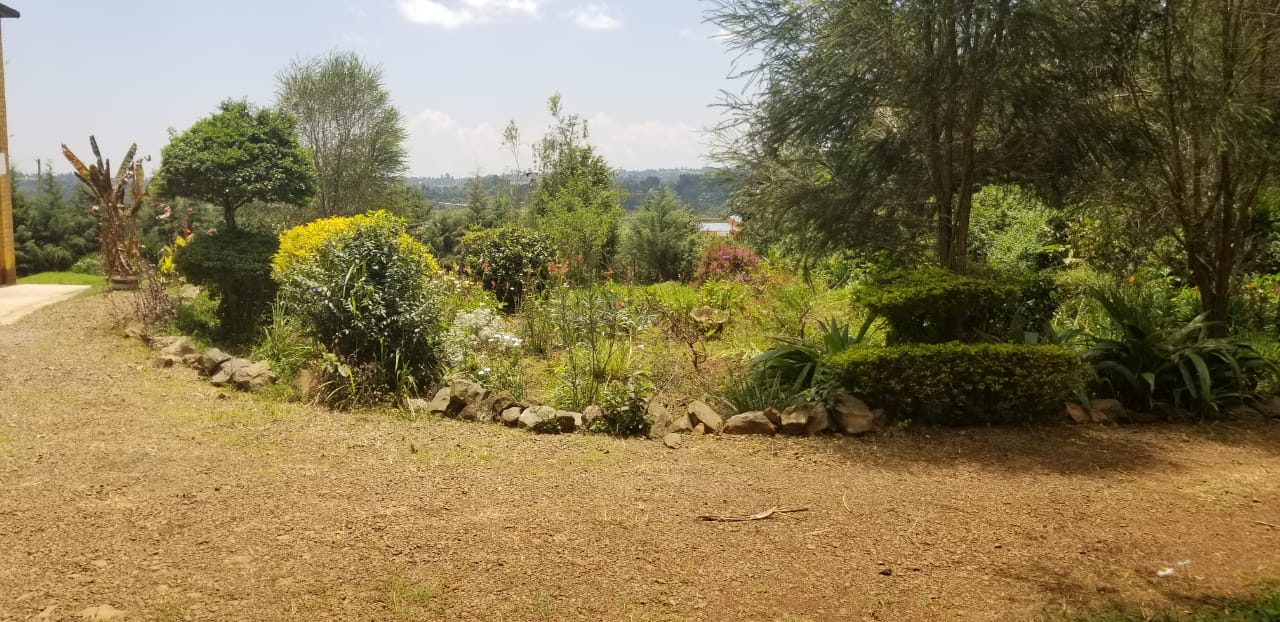 Kulta Properties PRIME COMMERCIAL PROPERTY FOR SALE AT THE HEART OF