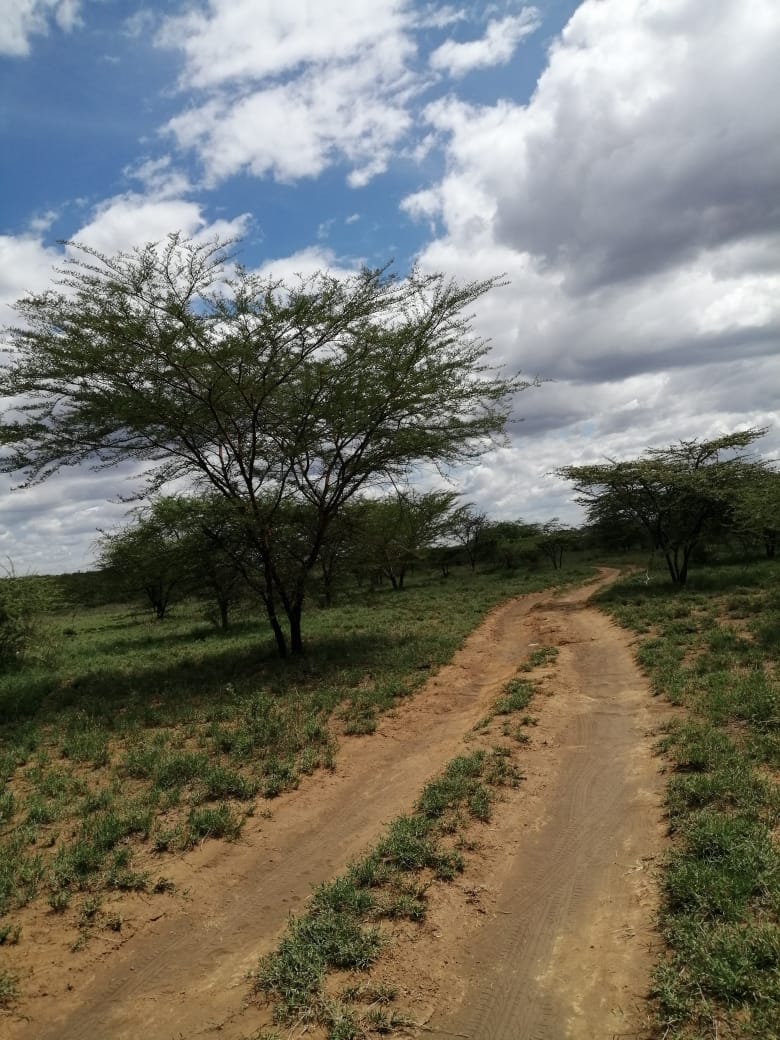 Kulta Properties 220 Acres Agricultural land for Sale in Suswa Narok