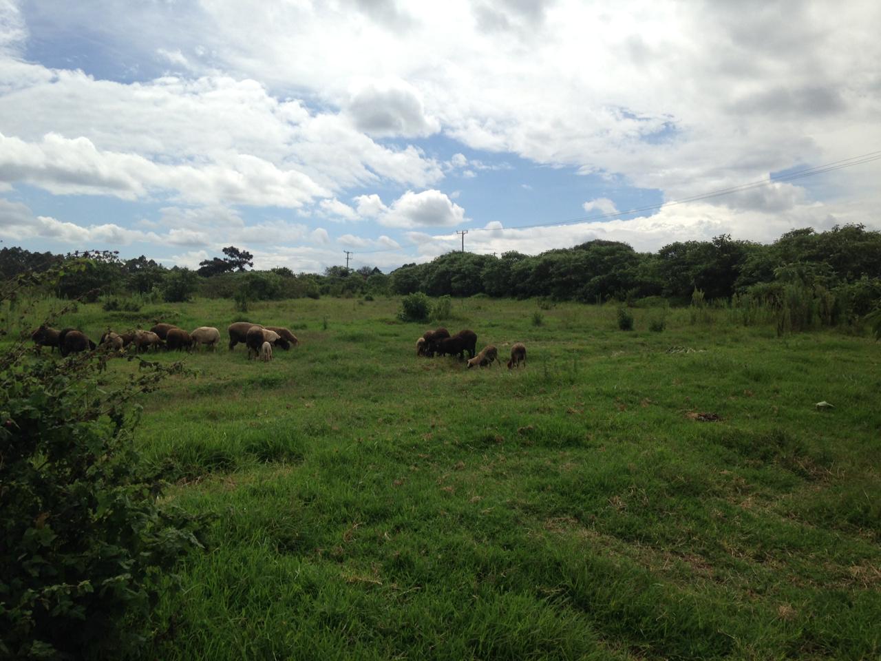 Kulta Properties 8 Acres Hot Sale in Limuru Redhill, Kiambu