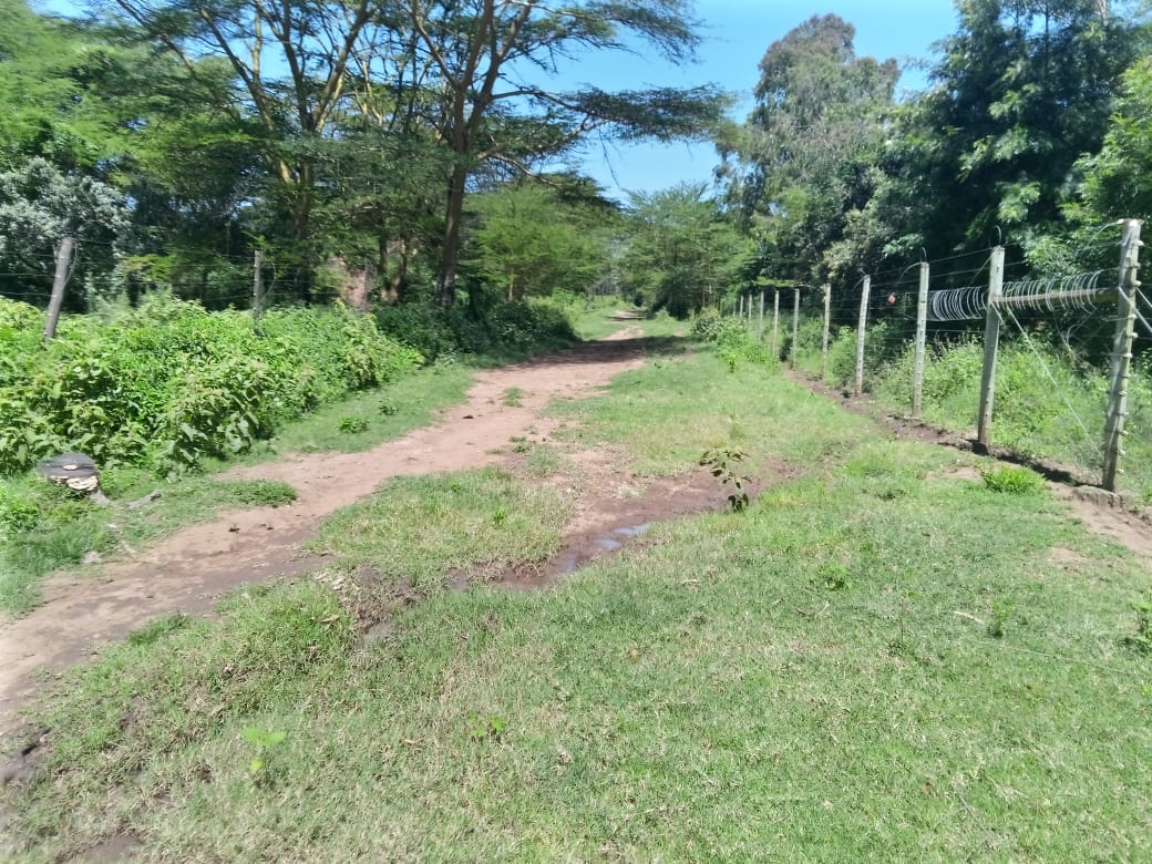 Kulta Properties 188 Acres Agricultural land in Narok county for Sale