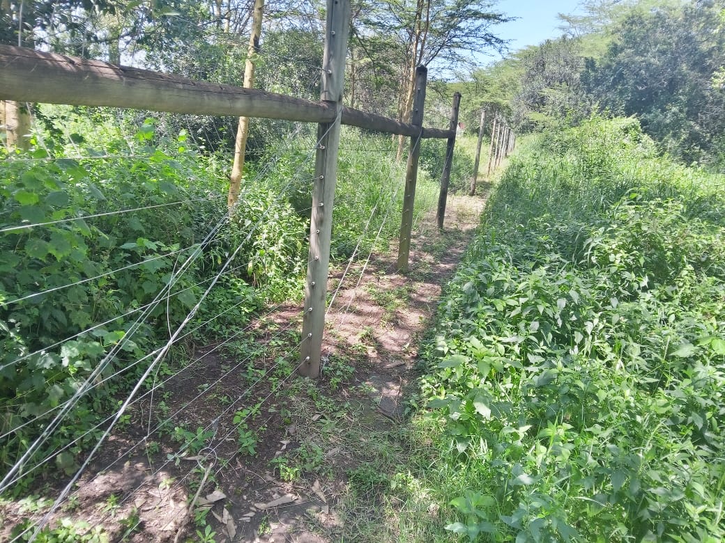 Kulta Properties 188 Acres Agricultural land in Narok county for Sale