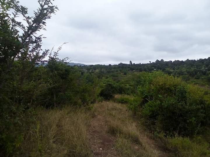 Kulta Properties 700 acres in Muranga county Ithanga for Sale