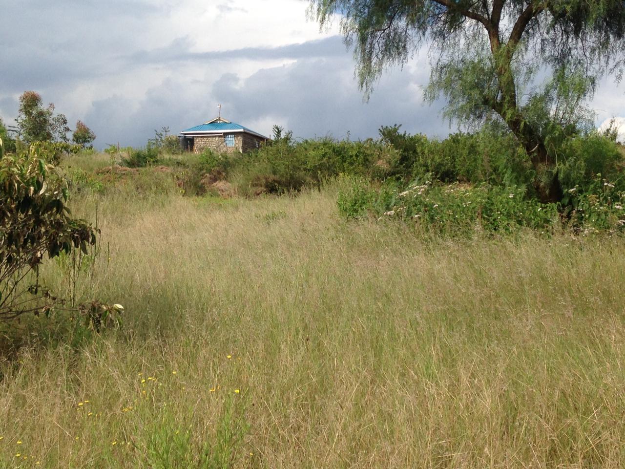 Kulta Properties 1/8th Acre Plot for Sale in Nachu Kikuyu