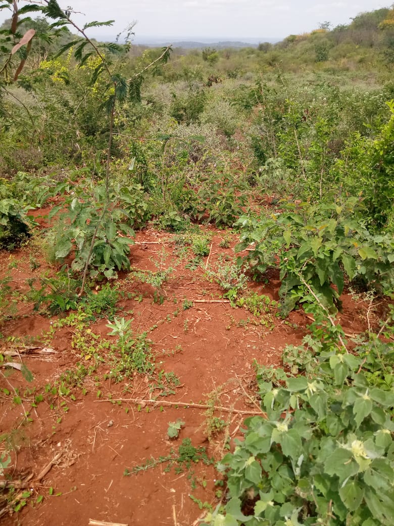Kulta Properties 28.5 Acres land in Embu county Muminji area for sale