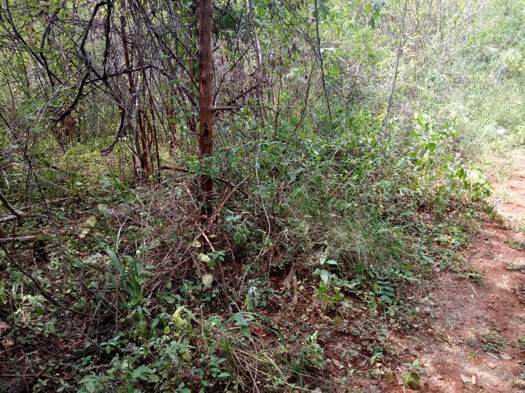 Kulta Properties 28.5 Acres land in Embu county Muminji area for sale