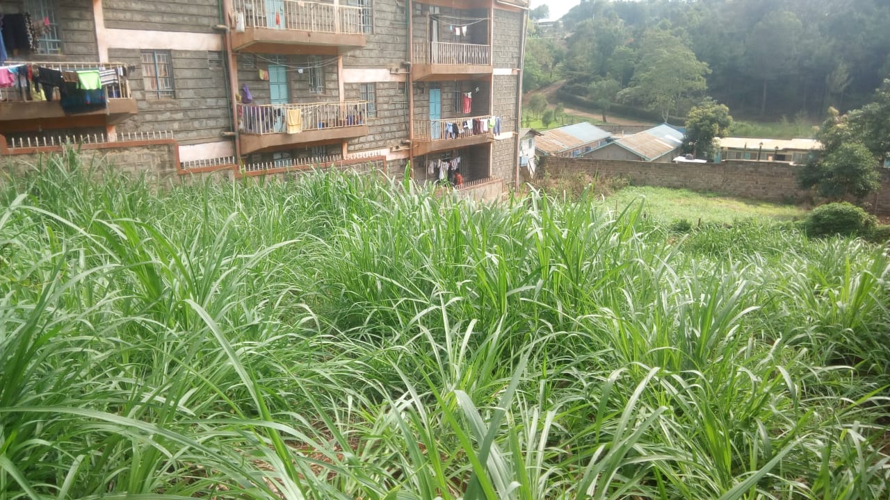Kulta Properties 1/8 Acre Commercial plot for sale in Nyeri town