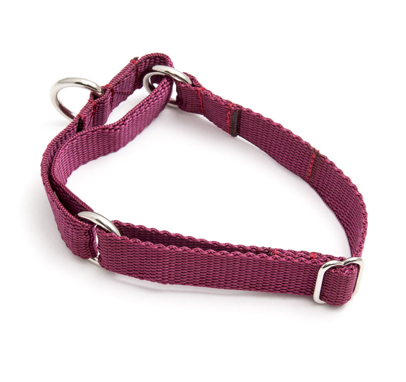 X LARGE Martingale Collar (Poly) Kumalong