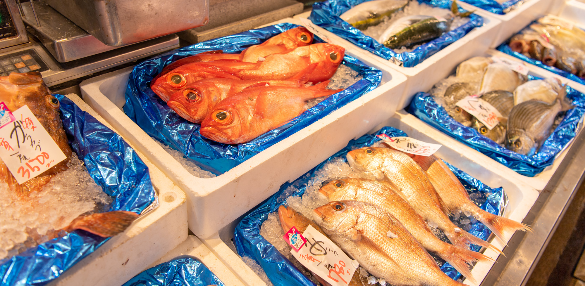 【ベストコレクション】 熊本 魚 美味しい ランチ 159398熊本 魚 美味しい ランチ Josspixlxt1