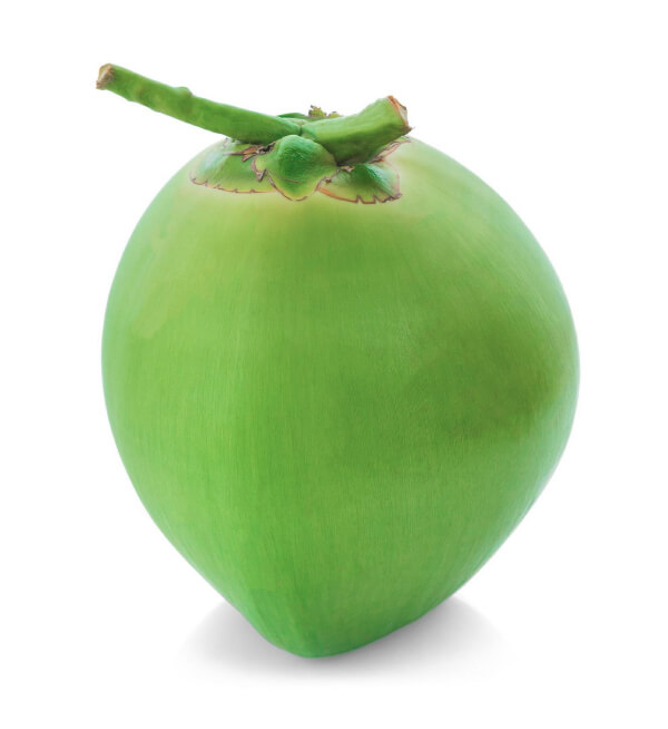 Tender Coconut Green இளனி பச்சை Nagercoil Shopping App